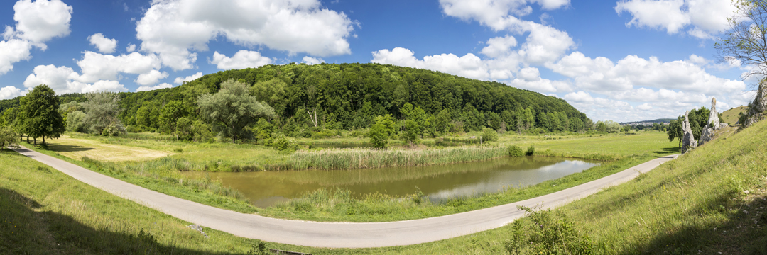 Sommer im Eselsburger Tal