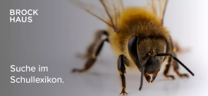 Bild Brockhaus Schullexikon